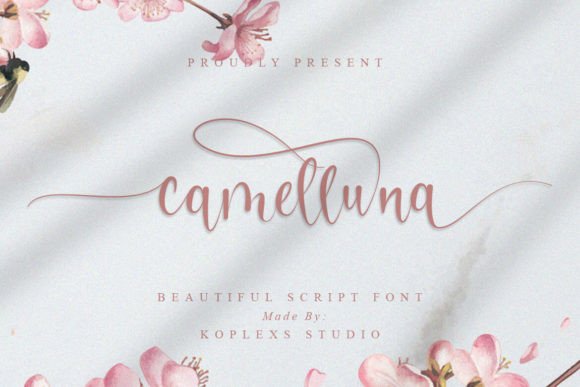 Camelluna: A Fresh Script Font for Modern Creatives