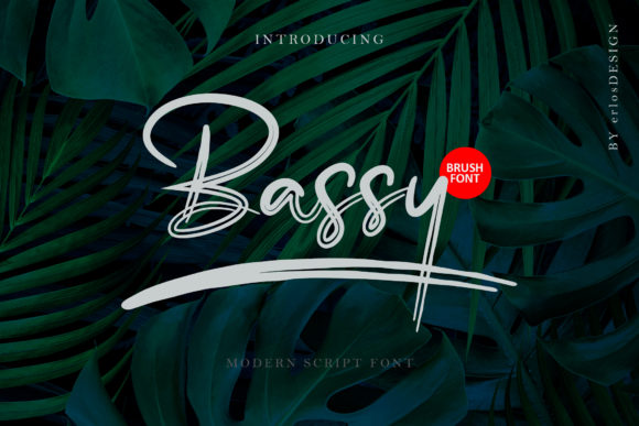 Exploring Bassy: A Modern Script Font for Elegant Branding