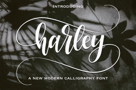 Harley: A Modern Calligraphy Typeface for Authentic Brands