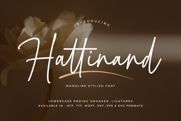 Hattinand: A Modern Script for Timeless Design